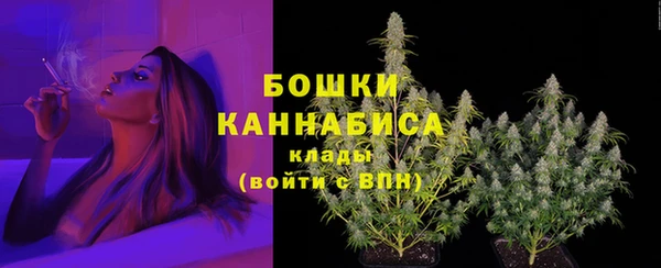сатива Арсеньев
